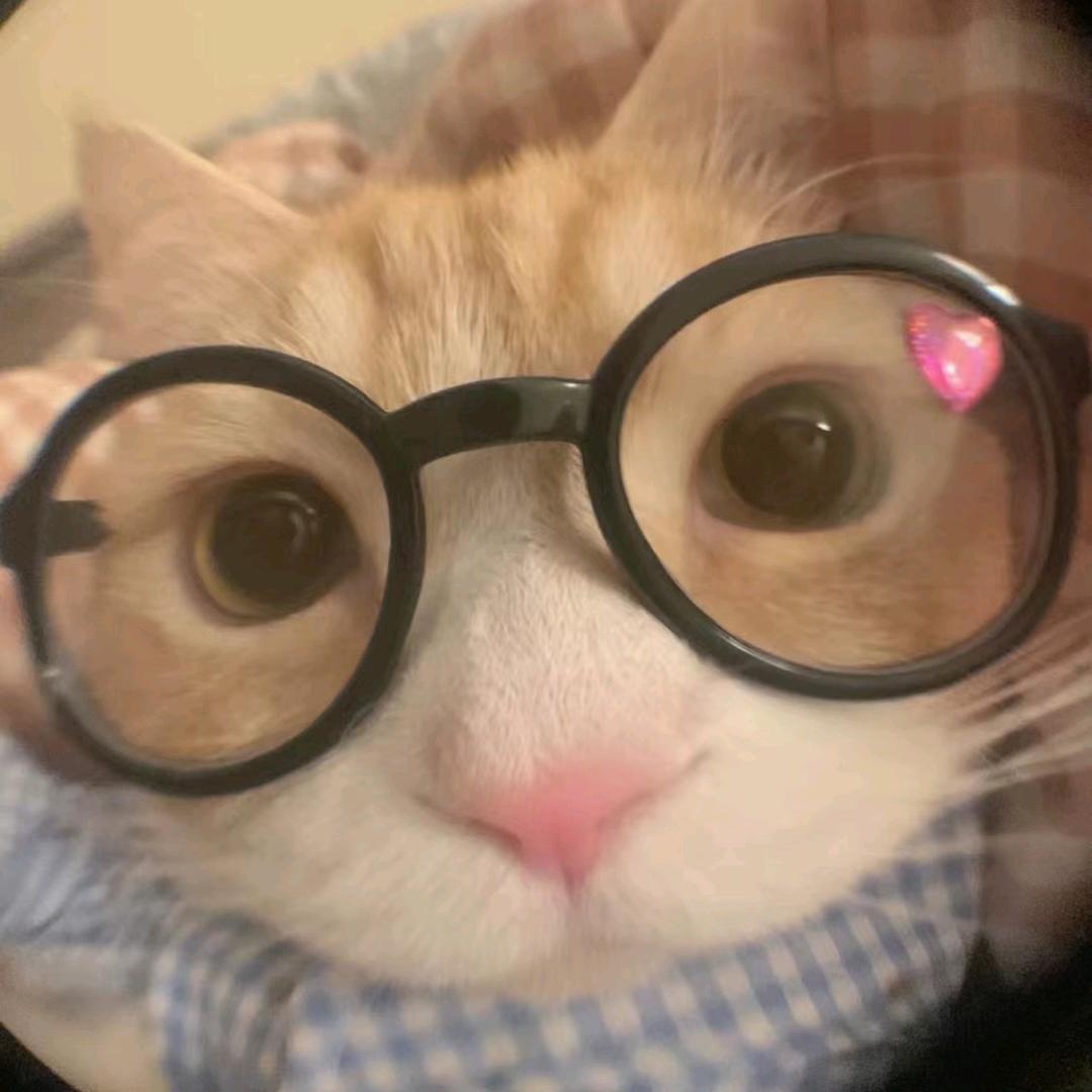 丹丹躺不平🦋🆒