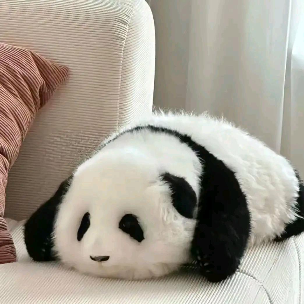 寻找未来的幸福