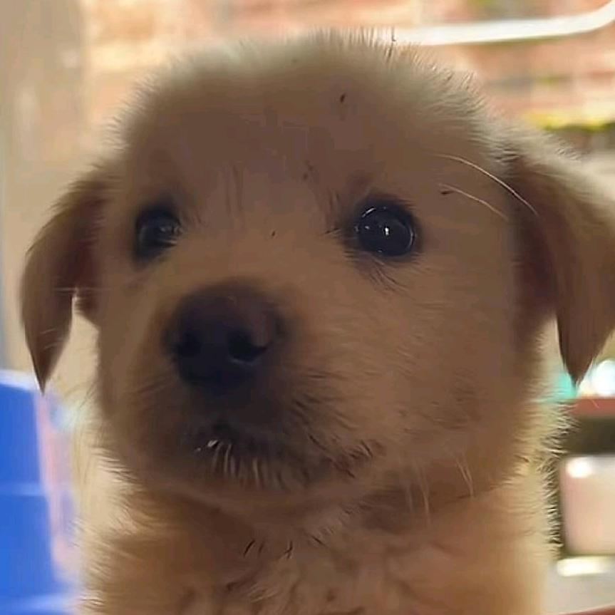 温茶半盏知秋意