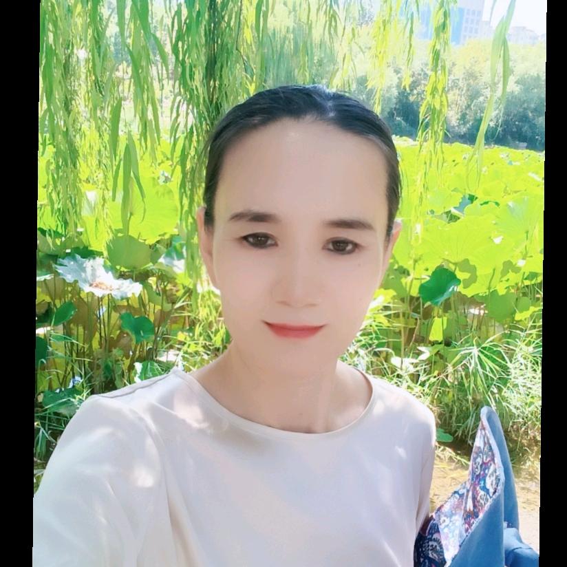 金沃稼（橱窗有好物）