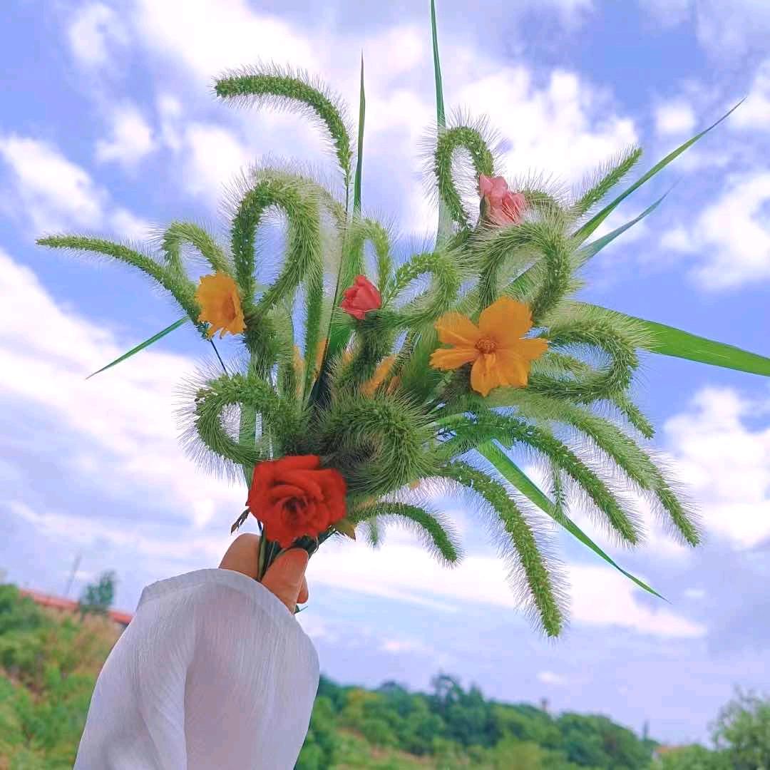 蓉✺◟(∗❛ัᴗ❛ั∗)◞✺