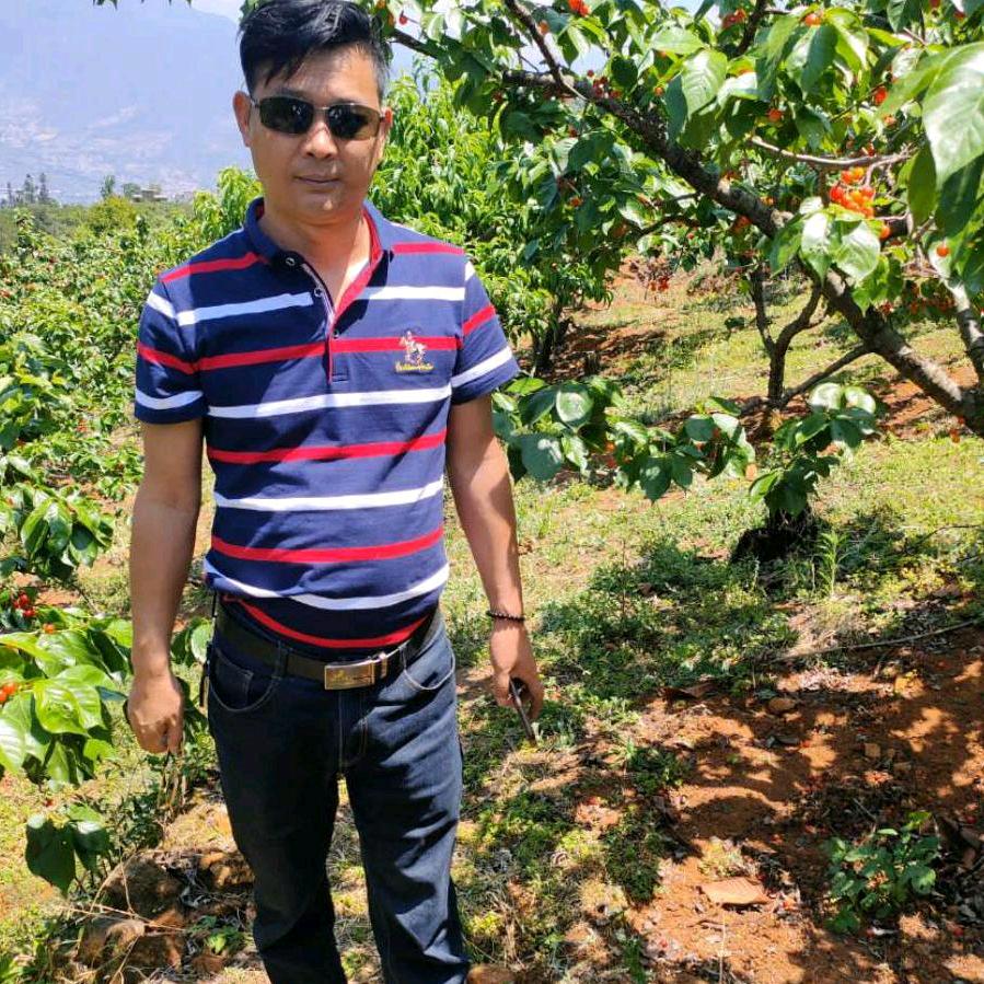 腾帆农业开心果！太和店！