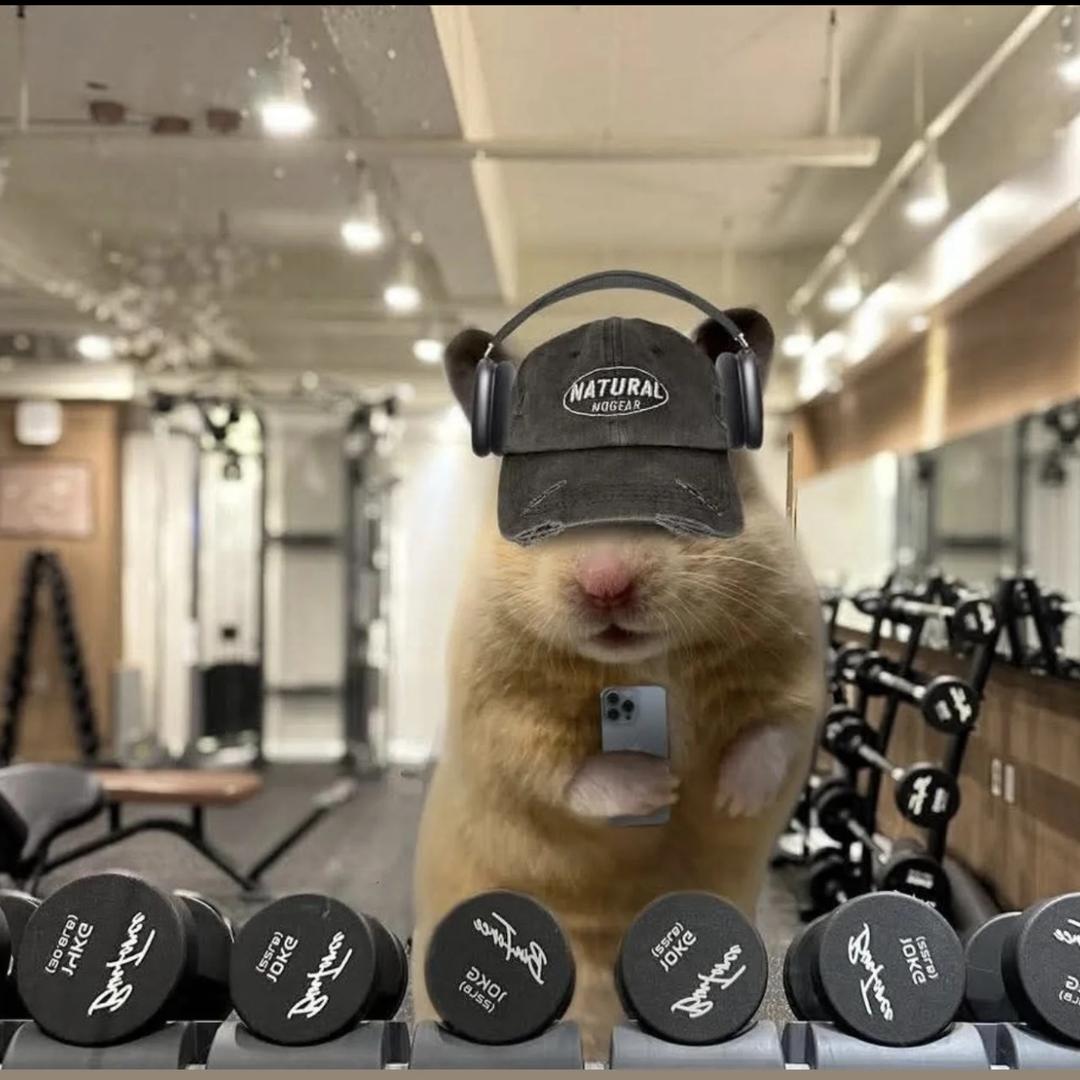 不喝冰咖啡的拿铁小文