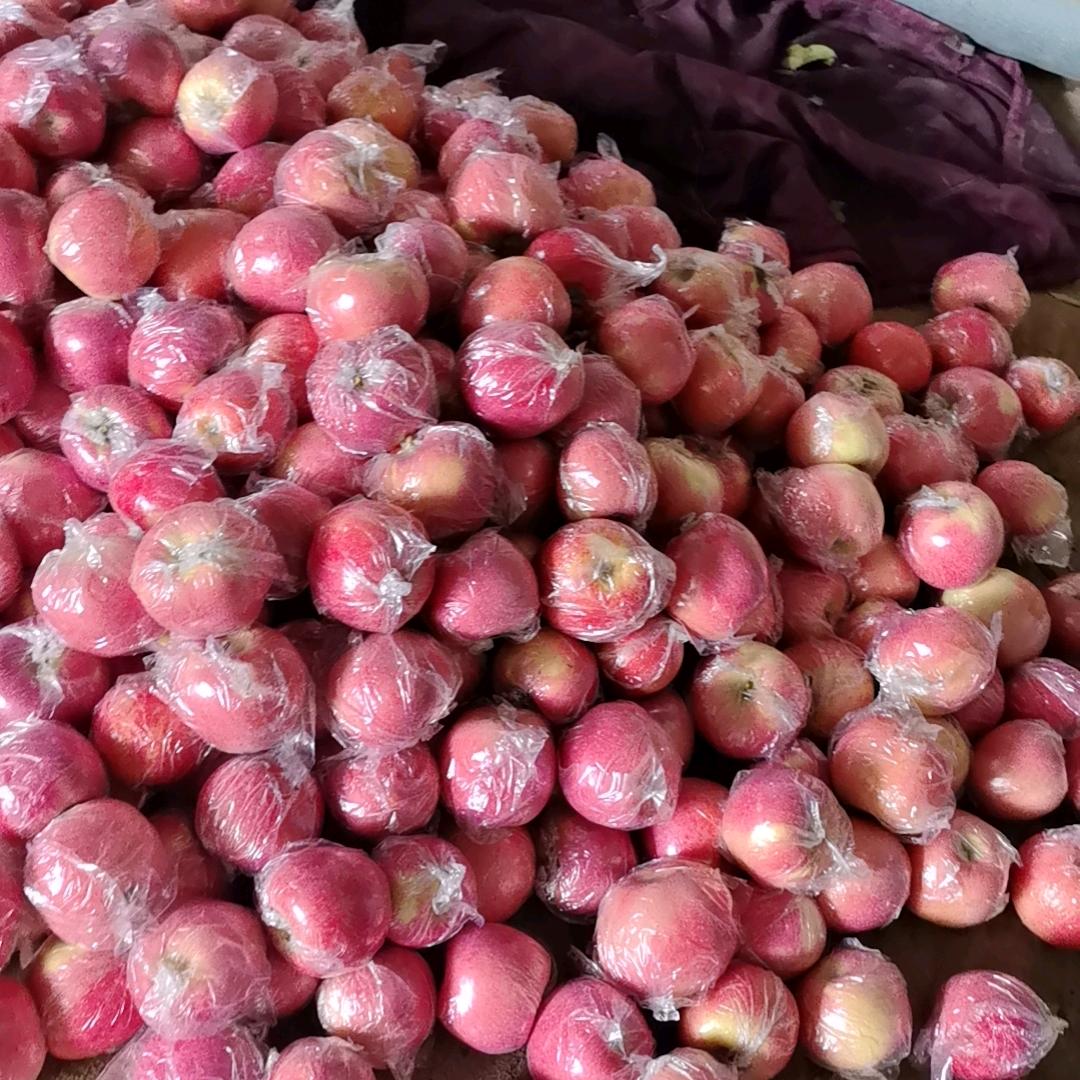 雪月丰洲果业有限公司