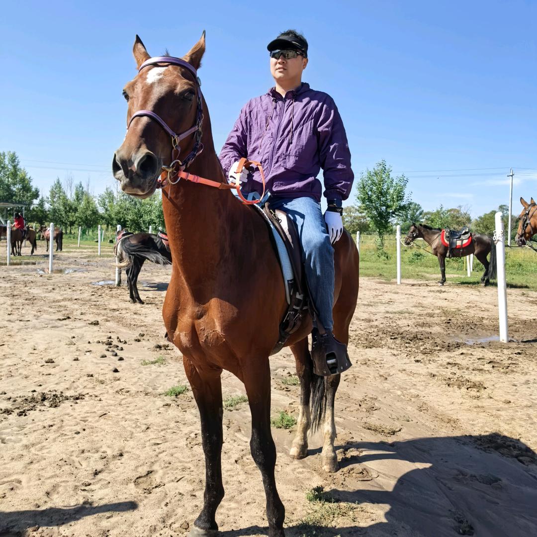 明星车行、物品典当业务