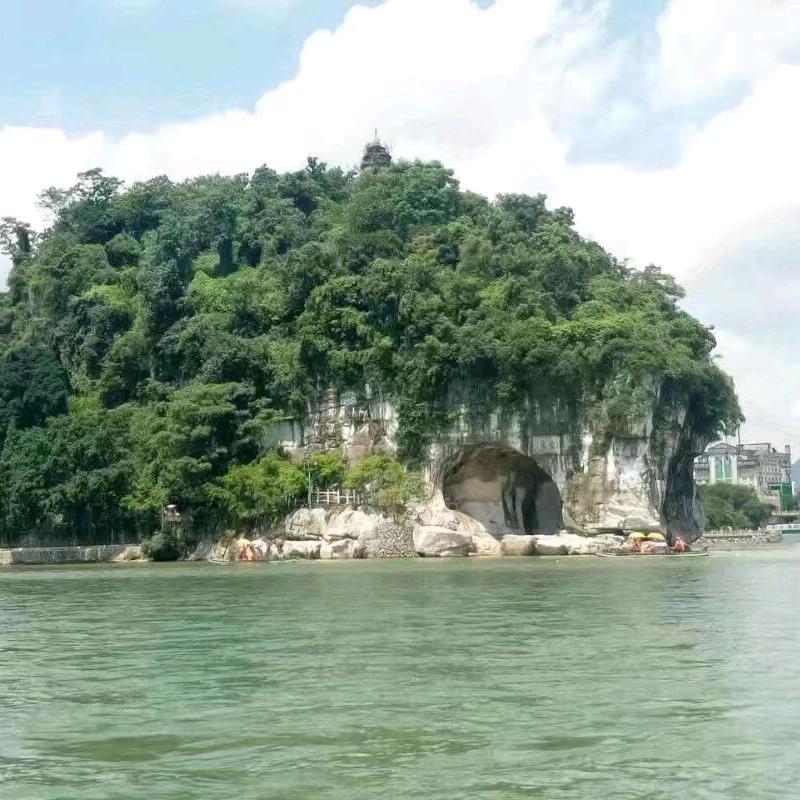小高粱