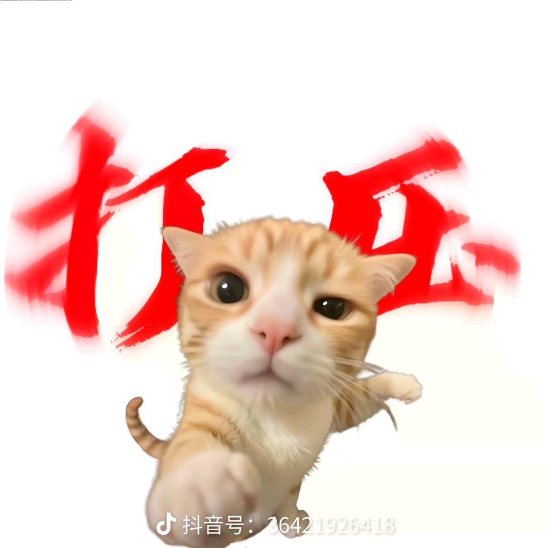 …觉辰