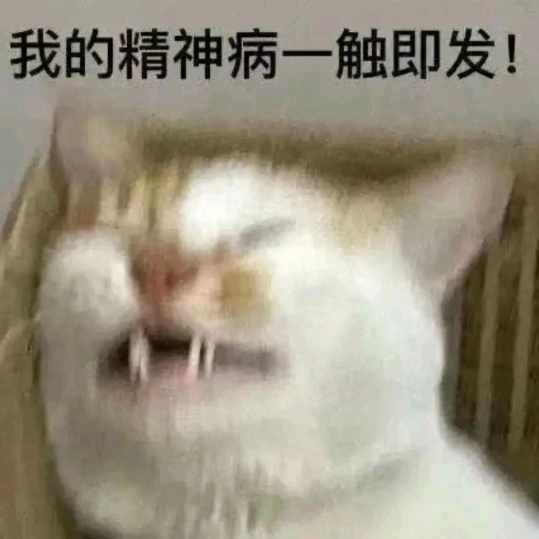 伤心小张