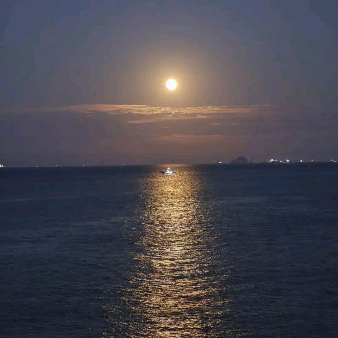 ℘⃝望℘⃝℘⃝舒℘⃝࿐