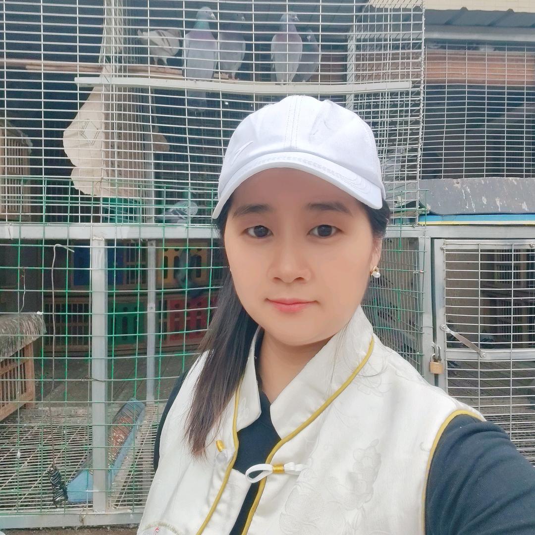 华夏养鸽人：唐华