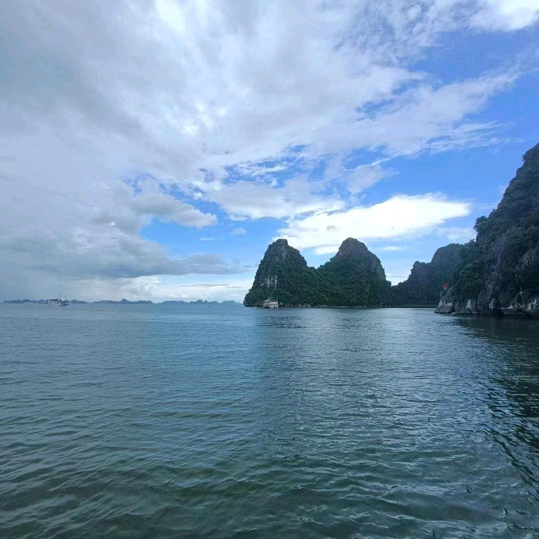意心向钱