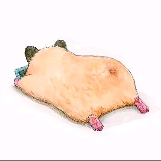 憨憨