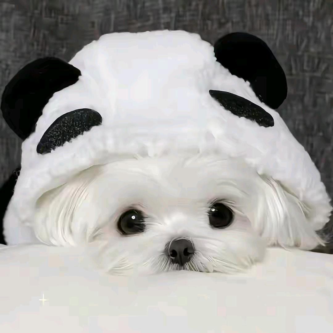 简单