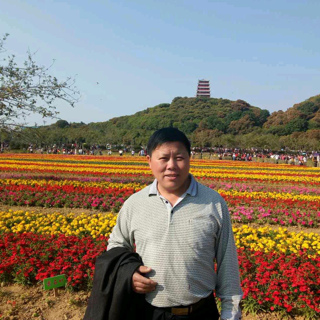 吴金元
