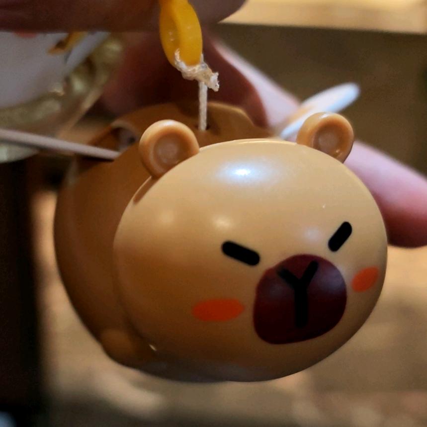 卡皮巴不拉来啦