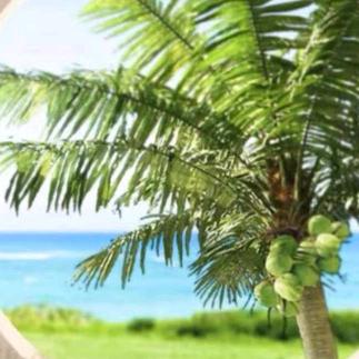 诚意二字值千金