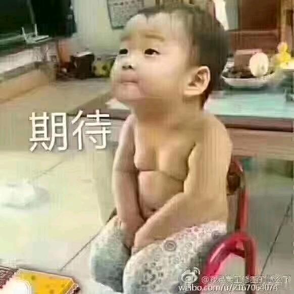 鲨鱼