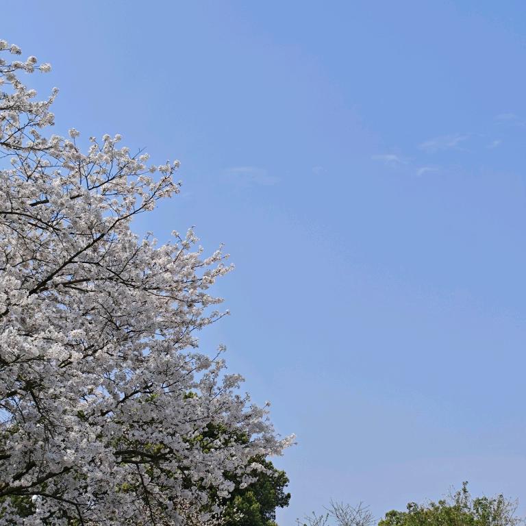 和风天气