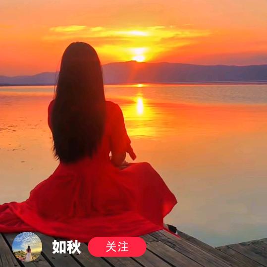 静心莲