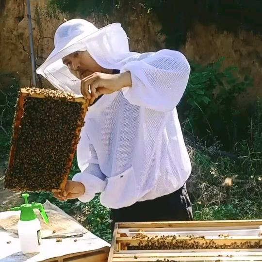 老凡家蜂蜜