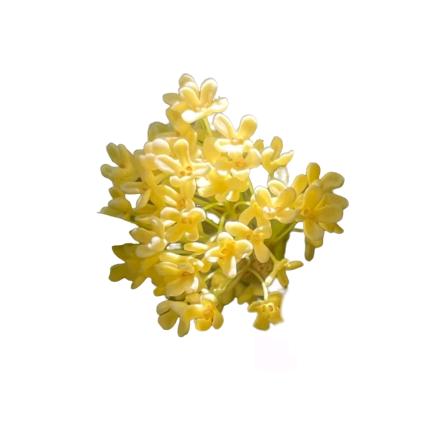 不长痘痘🏃⁹¹¹