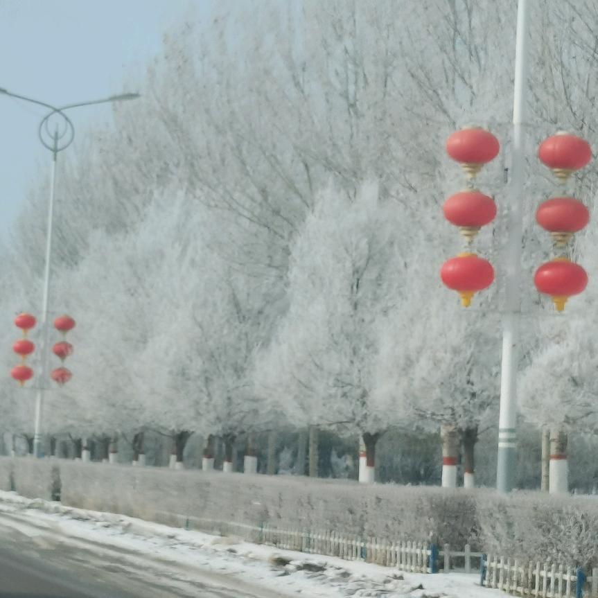 淘淘姐