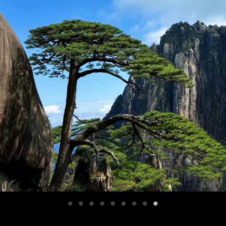 顺心