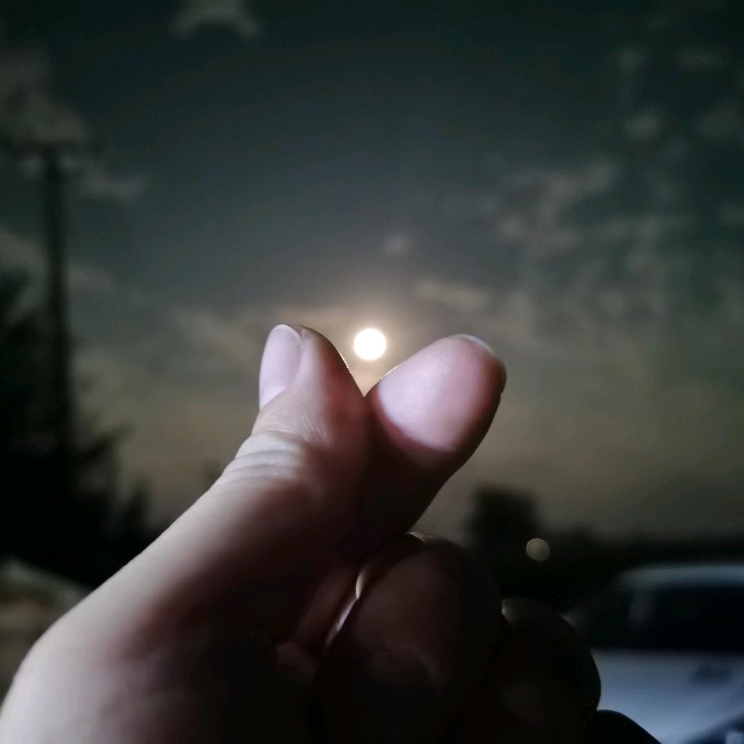 重生之小王想躺平