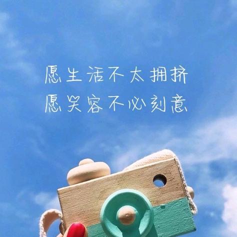 一只孤独的影子