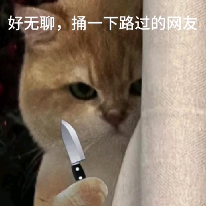 帅气的猪饭人