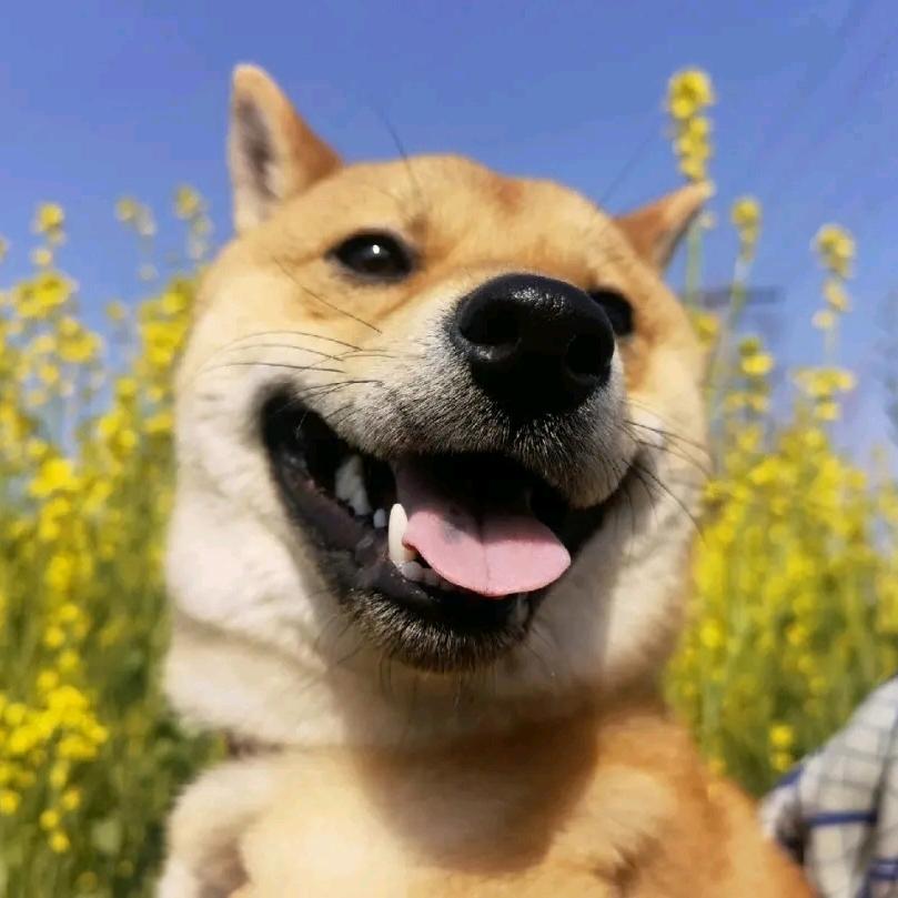 老廖跨境电商创业日记