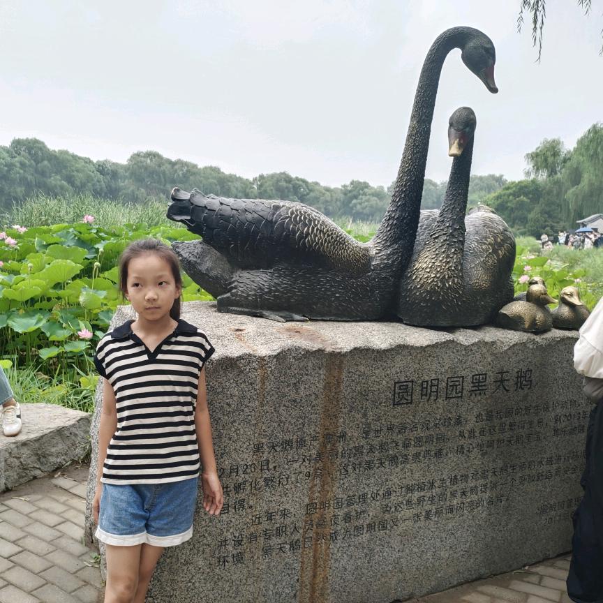 醒醒妈