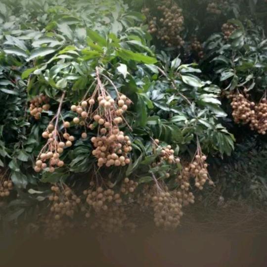 健康快乐滴每壹天