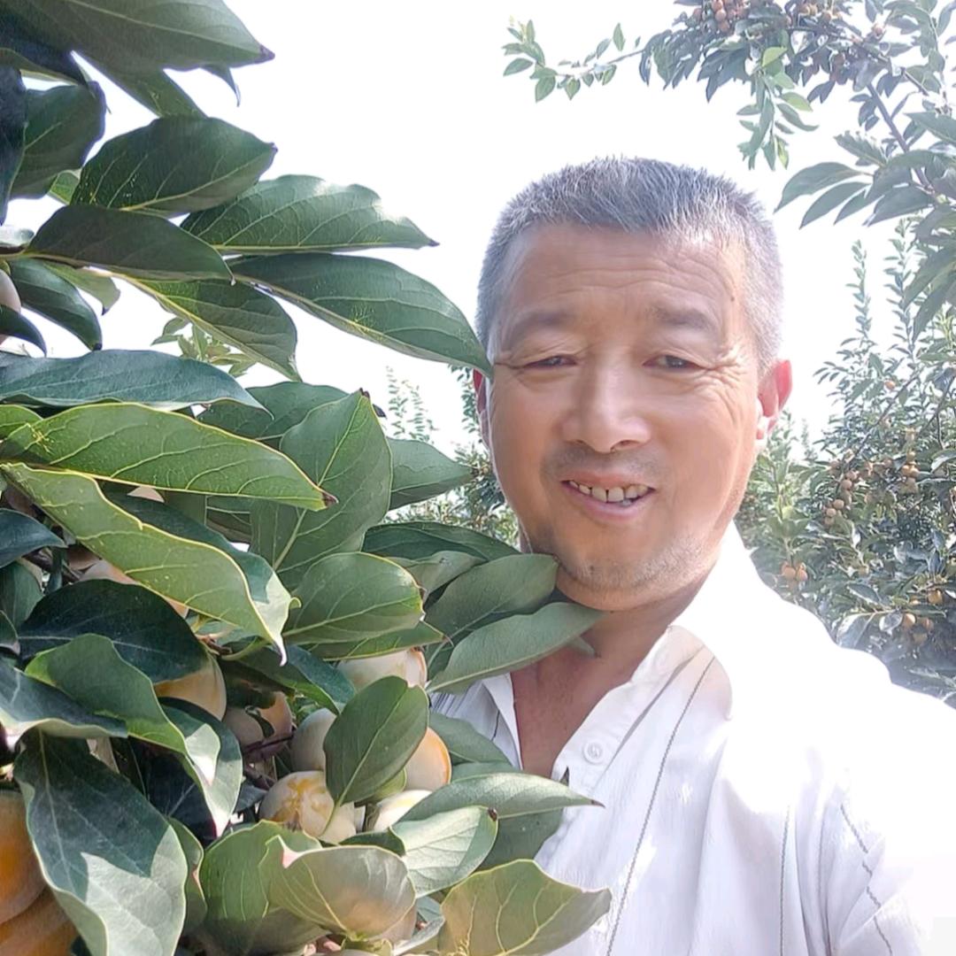 一根火柴为人民服务角杯文学