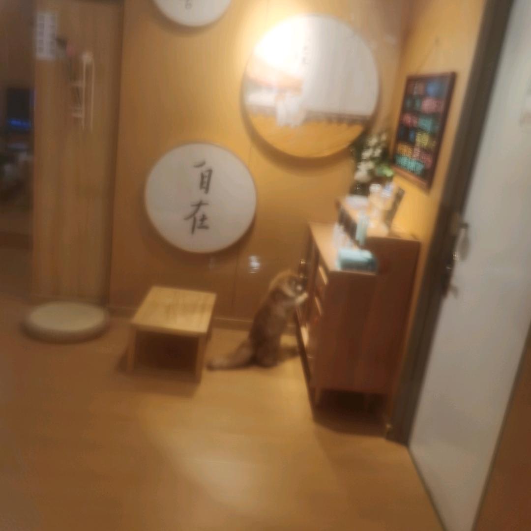 焦静劳务有限公司