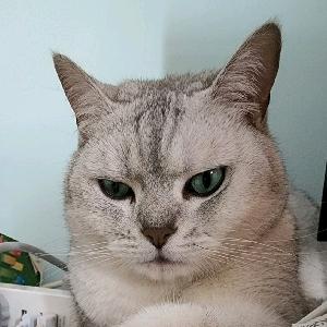 小傅的农村生活