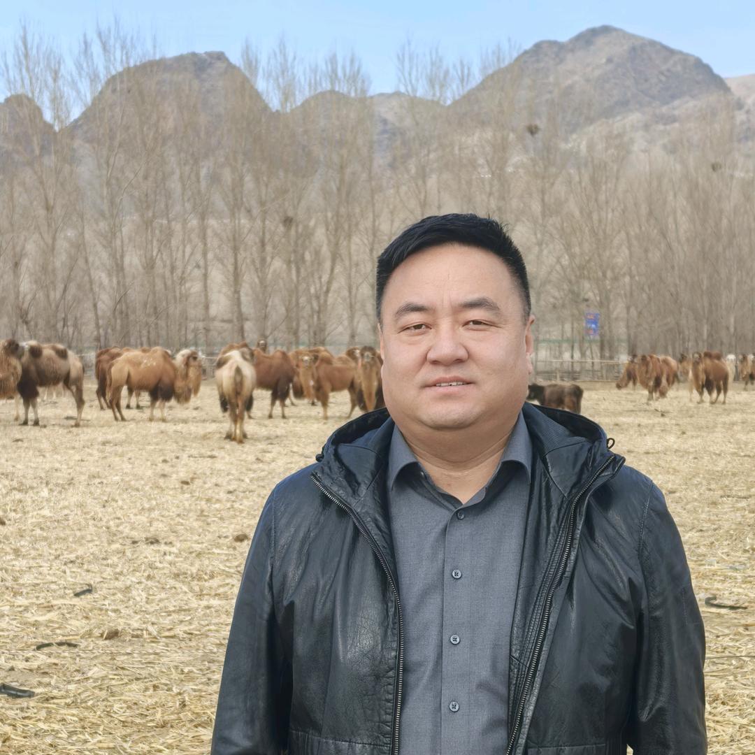 羊群里骆驼🐫哥