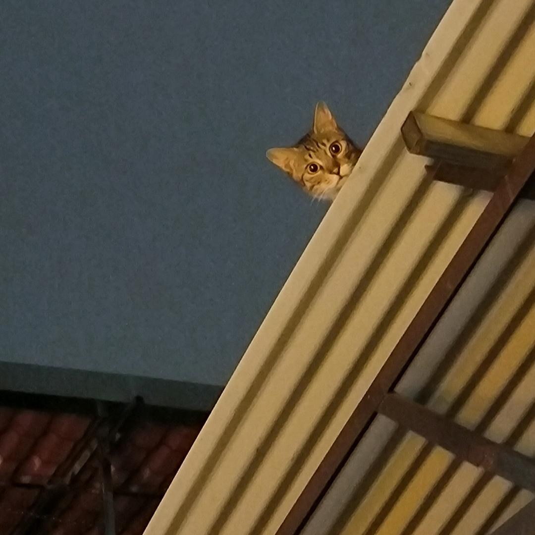 悦年苑