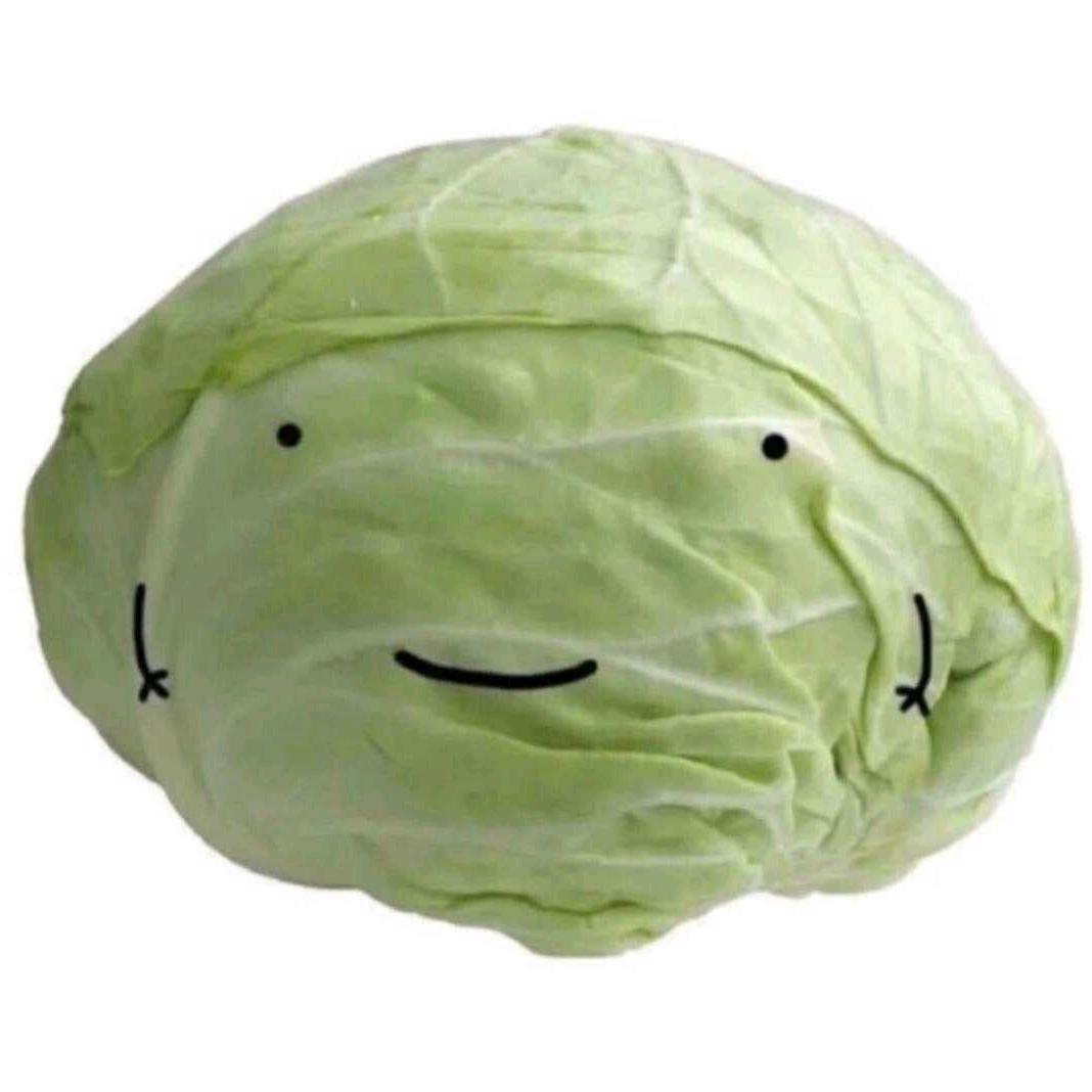 包菜籽