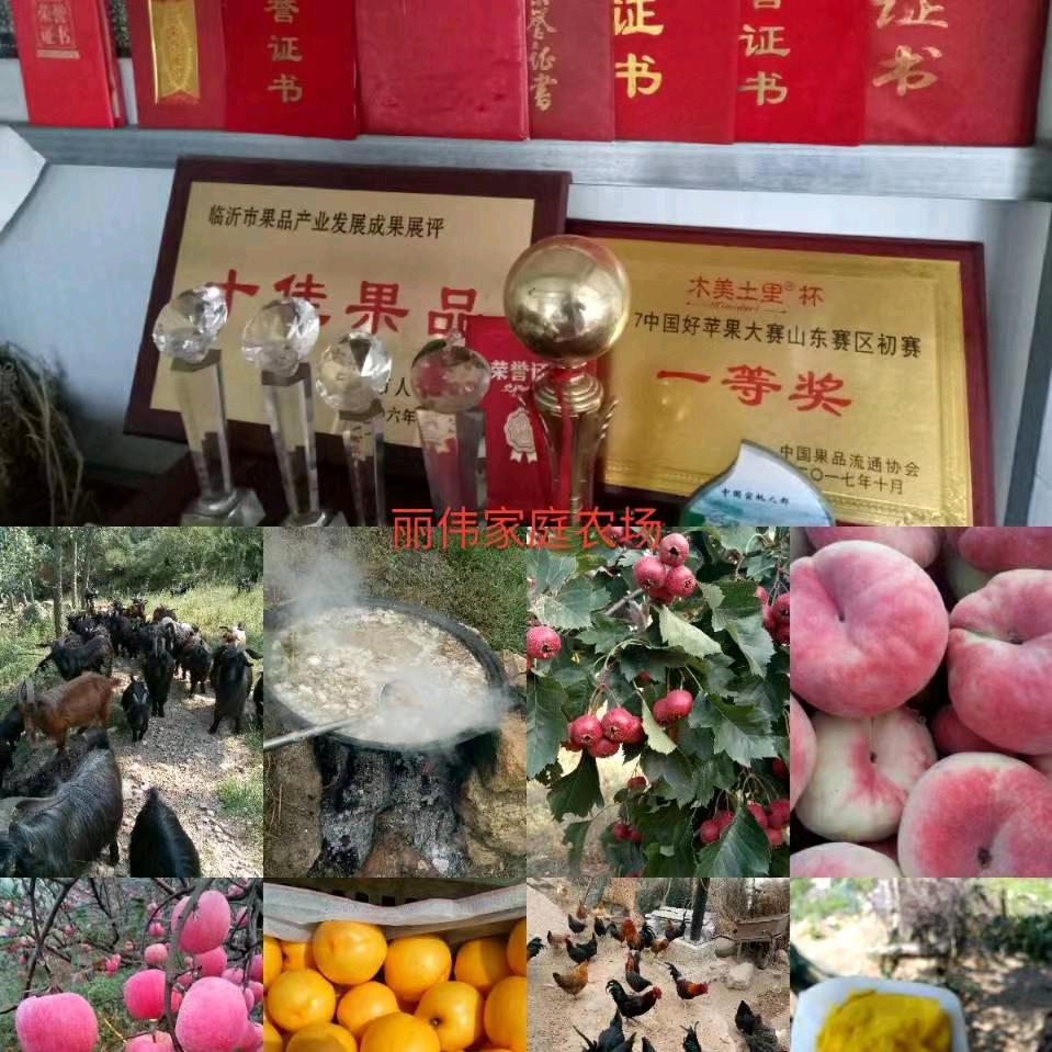 专业果树修剪，套袋（职业农民）