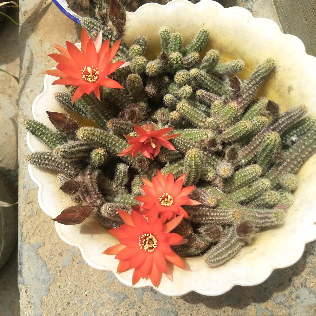 挣取美好