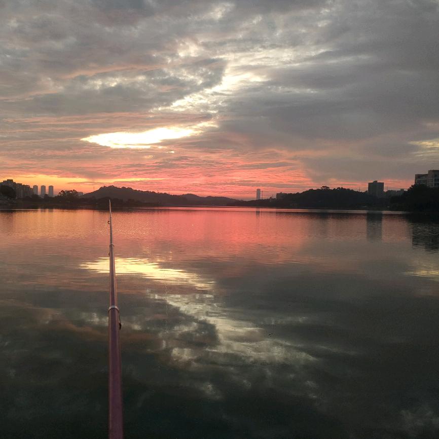 阿✨政(重头再来)