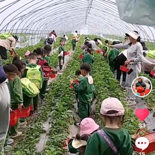 导航植物园草莓园，一切都在变好