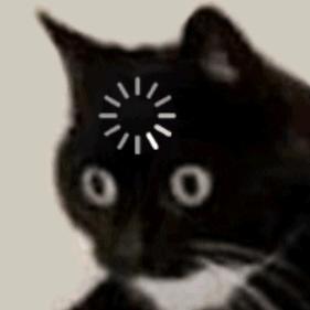 穆琛