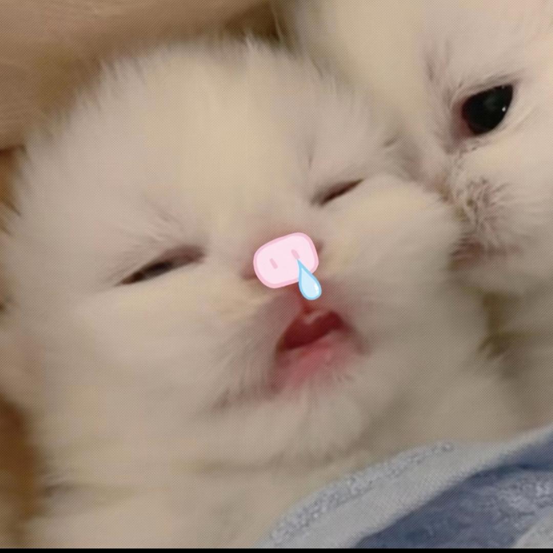 等风起