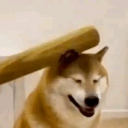 傻狗 吃我一棒！