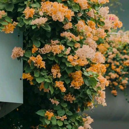 TOKYAMA嘉兴市鸿扬贸易有限公司厨具专卖店