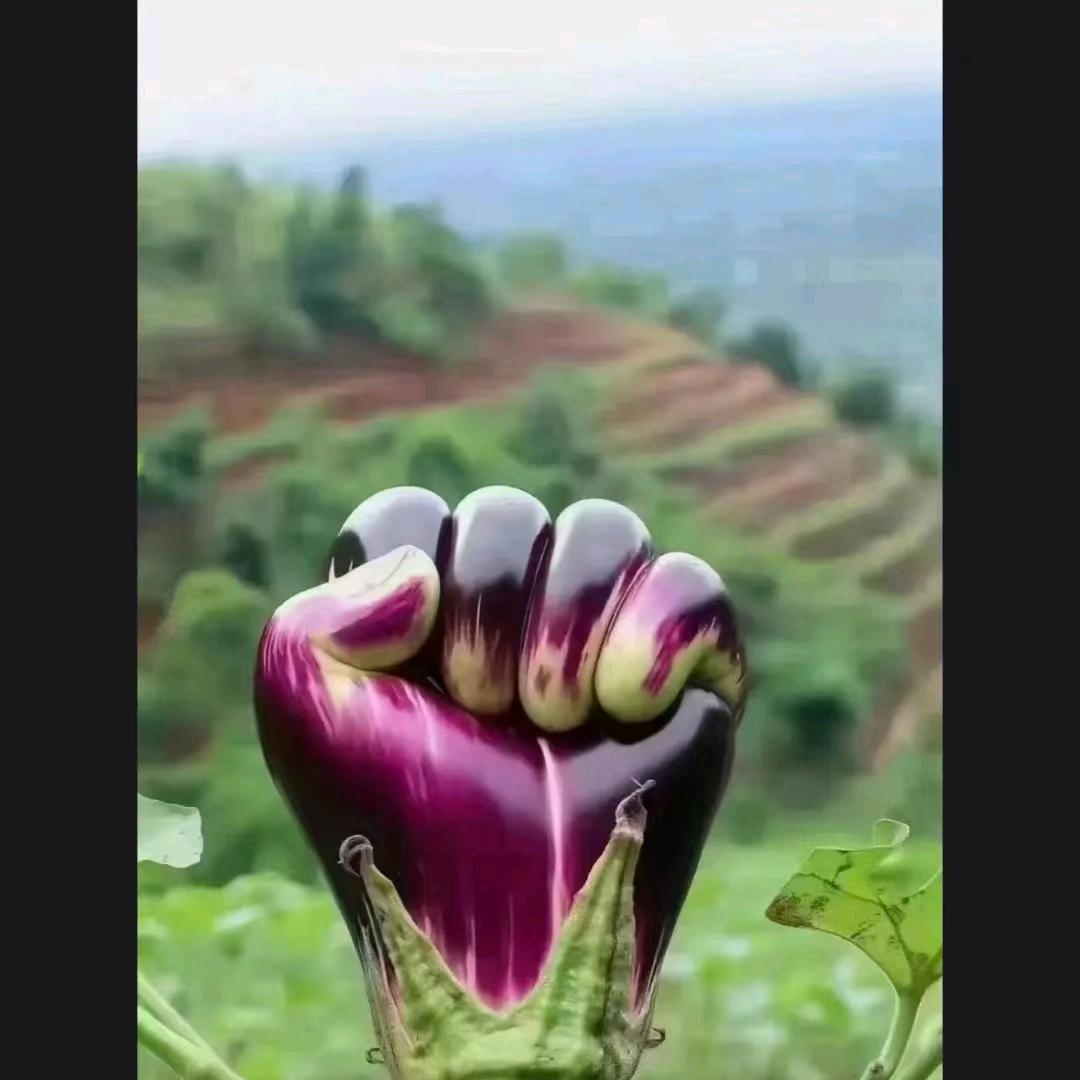 不见风雨，怎么见彩虹