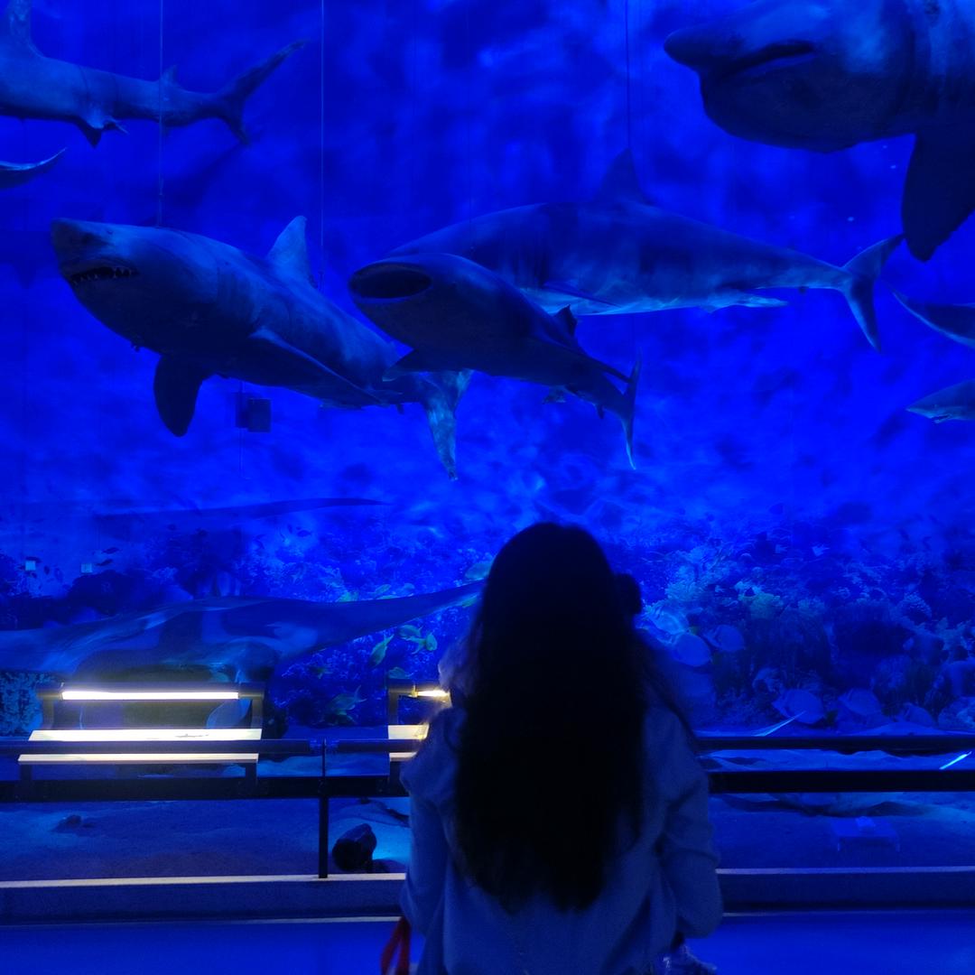 致我爱你的时光