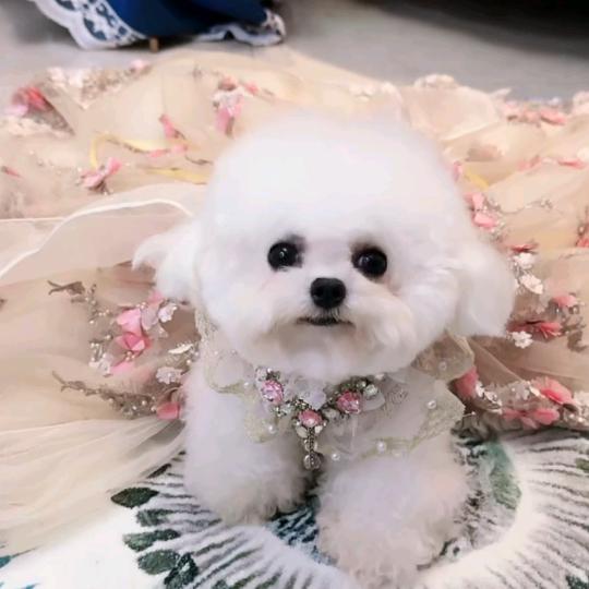 🦋ꦿ໊余生᭄🕊随心᭄ꦿᩚ